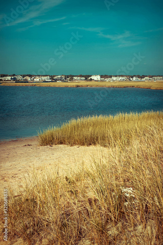 Estuary and grasses in coastal area of Cape Cod, Massachusetts © Joyce Vincent