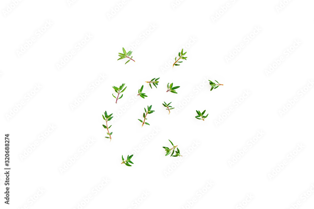 Fresh twig with leaves of organic thyme from the garden seen from above isolated on a white background. Fresh twig with leaves of organic thyme from the garden seen from above isolated on a white background.