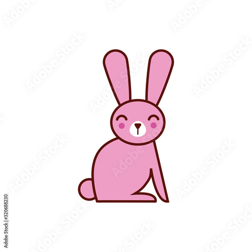 cute rabbit animal comic character