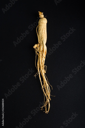 Ginseng has medicinal properties against a white background and can be dipped in water and sliced, also known as American ginseng-Panax quinquefolius