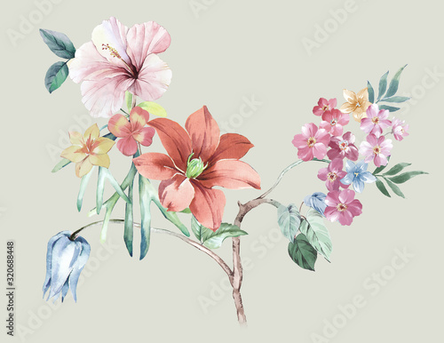 Fototapeta Naklejka Na Ścianę i Meble -  Beautiful watercolor flowers for your design and greeting cards for the holiday
