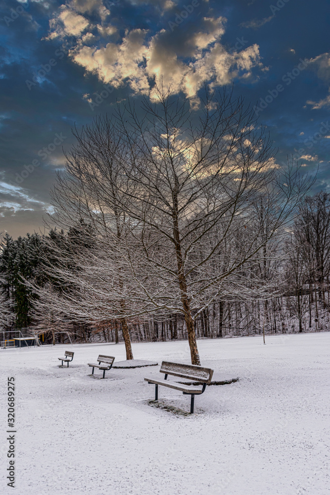 Klump Park Morning after Snow in Upstate NY