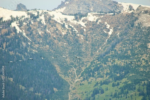 Mountain, Yellowstone National Park