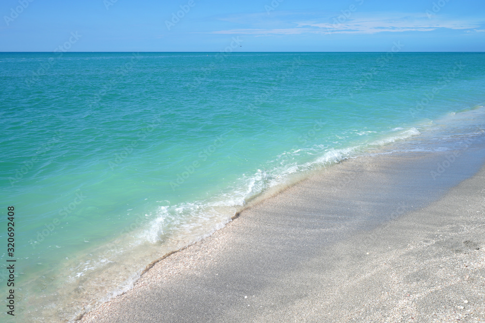 Shells on the beach by the sea in Sanibel Island, Florida