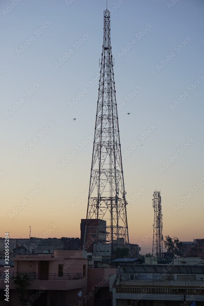 cranes at sunset