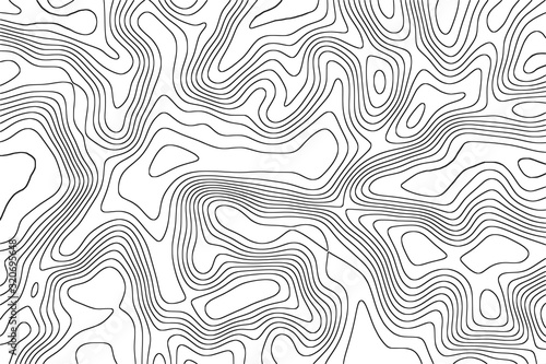 Fototapeta Imitation of a geographical map, black lines on white background, vector design