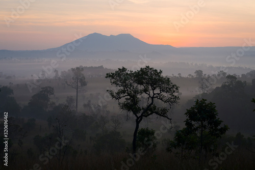 Landscape tropical forest view during sunrise in the morning.