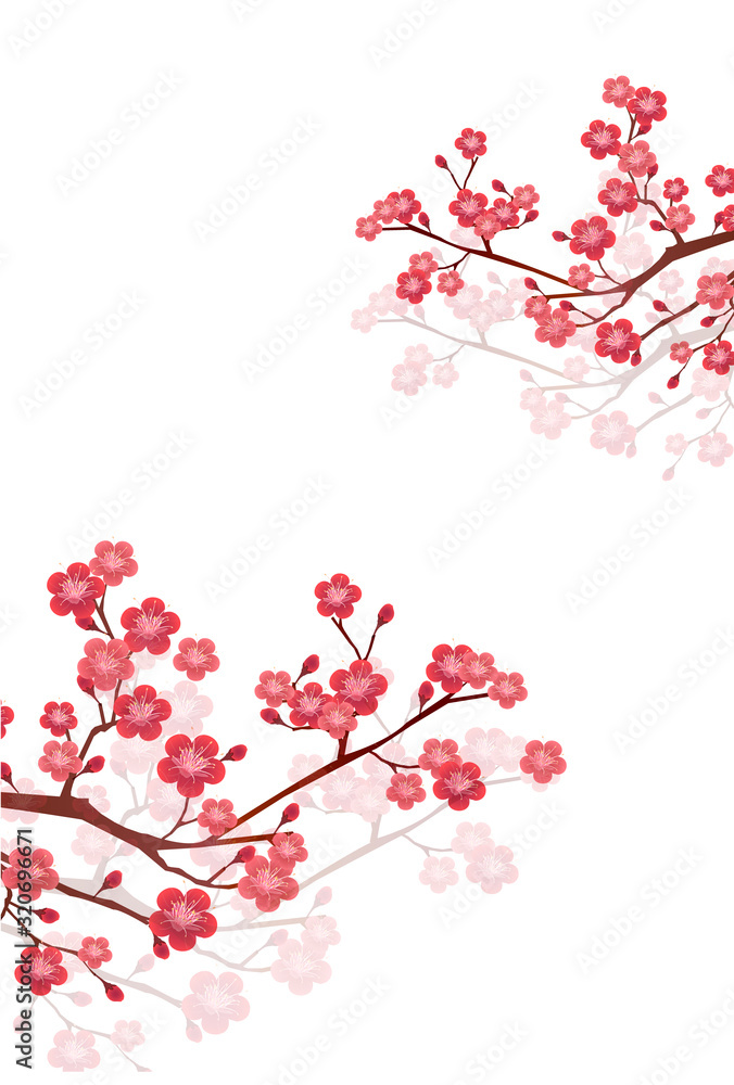 梅 花 春 背景 梅 花 春 背景