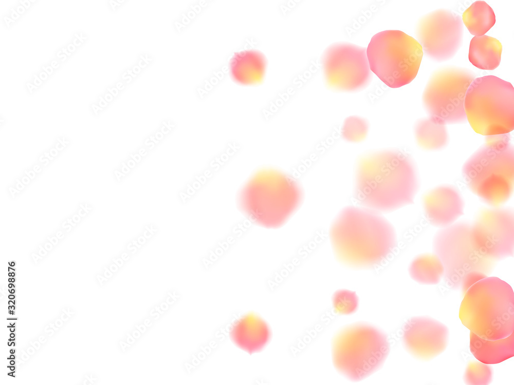 Rose gold petals flying cosmetics vector background.