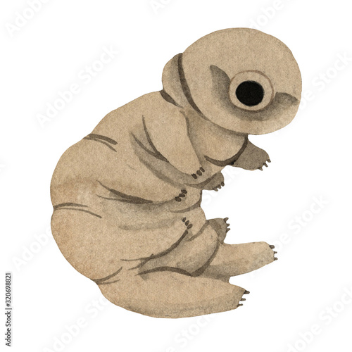 Cute kawaii watercolor tardigrades, water bear. Curl up pose. Poster print
