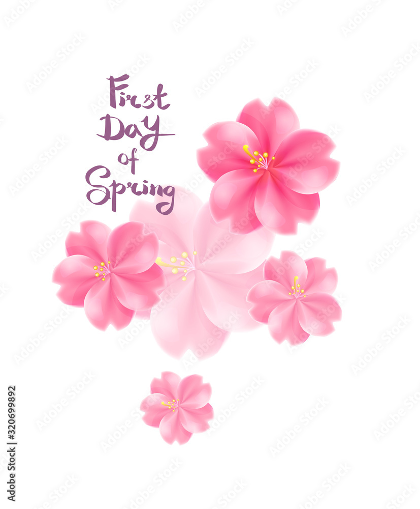Pink Cherry Flowers 3D Pink Cherry Flowers 3D