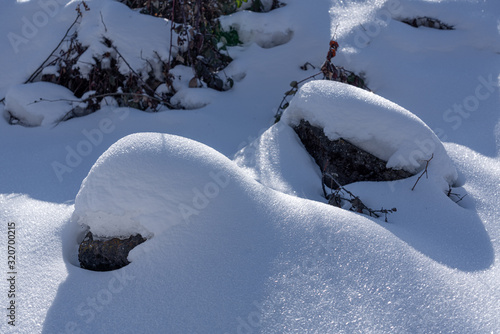 Snowdrifts in the winter forest © Vastram