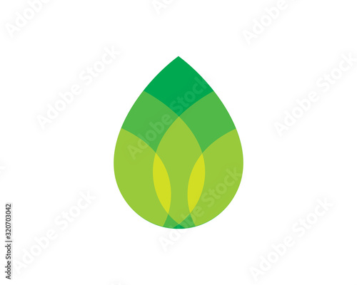 Leaves Logo Template, Icon, Symbol