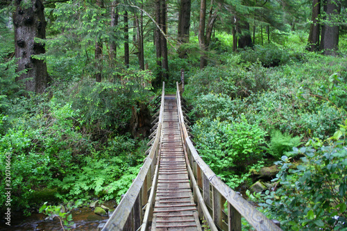 Wooden Bridge Over the Creek  OR 00297 
