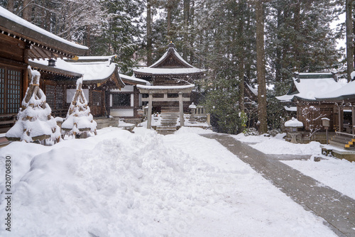 landscape of Sanzen-in Temple Japanese garden at Buddhist temple, Kyoto © CasanoWa Stutio