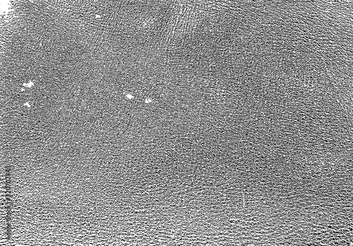 vector pattern the texture of the skin of the animal. genuine leather