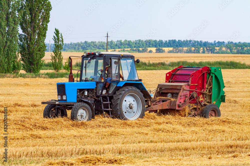 A tractor with a trailed bale making machine collects straw rolls in the field and makes round large bales A tractor with a trailed bale making machine collects straw rolls in the field and makes round large bales