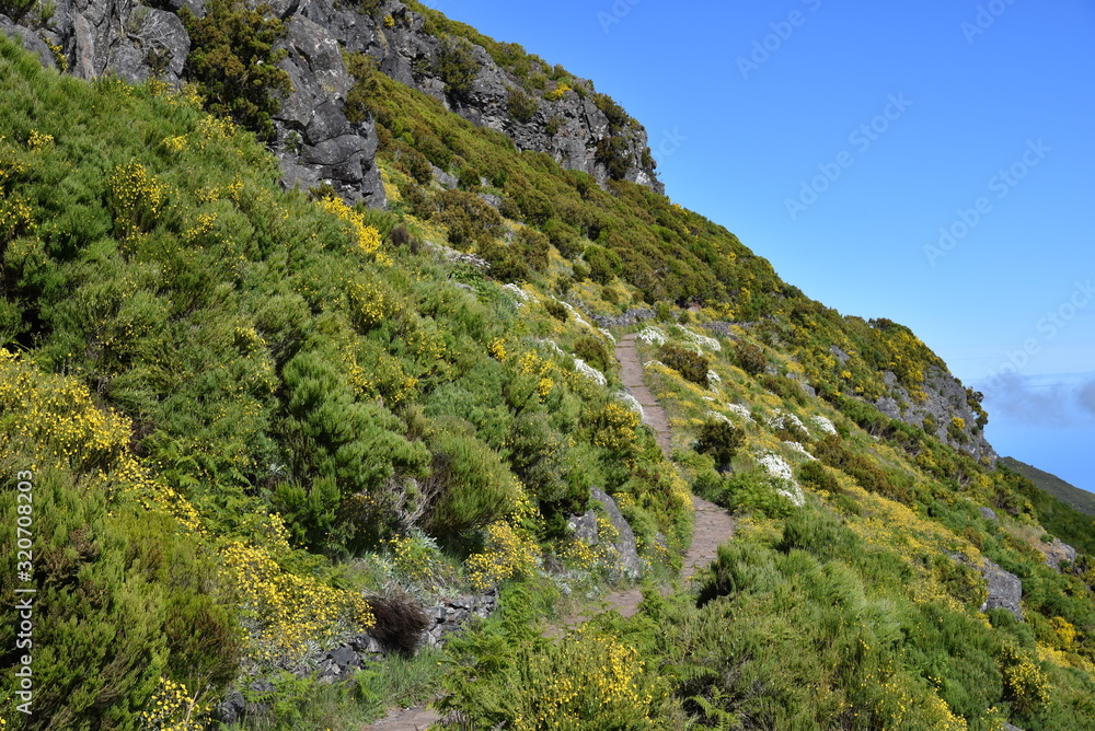 Landscape of green mountains of Madeira Island - view from the trial to Pico Ruivo.