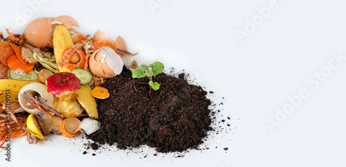 Compost from fruits, vegetable scraps and plant sprout in ground . waste for recycling. Food waste concept. Environmentally responsible behavior concept. copy space photo