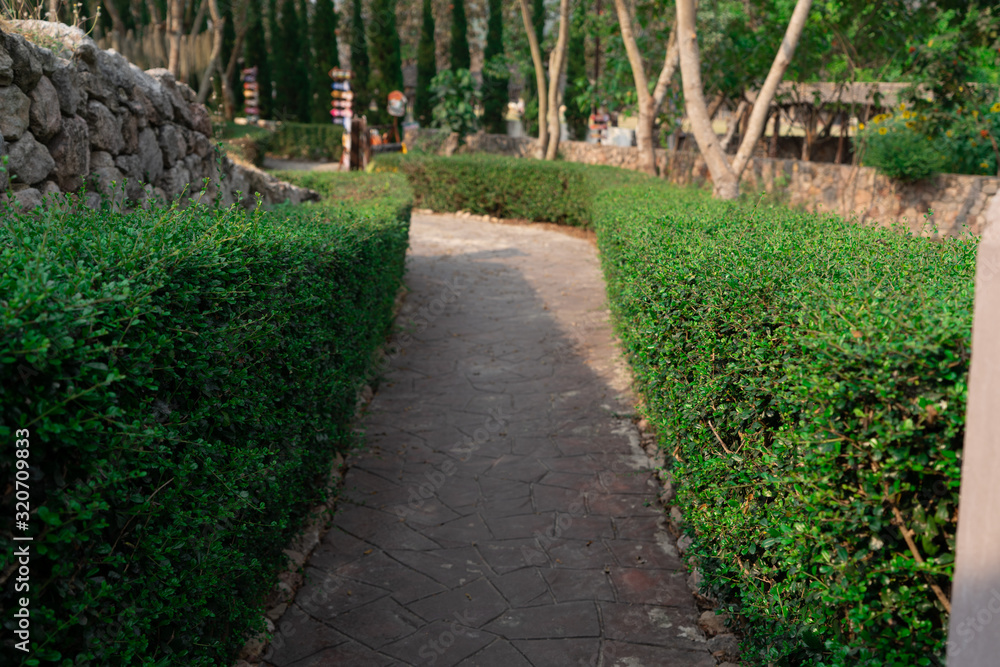 Obraz premium path in the park