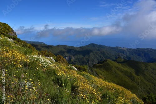 Landscape of green mountains of Madeira Island - view from the trial to Pico Ruivo.