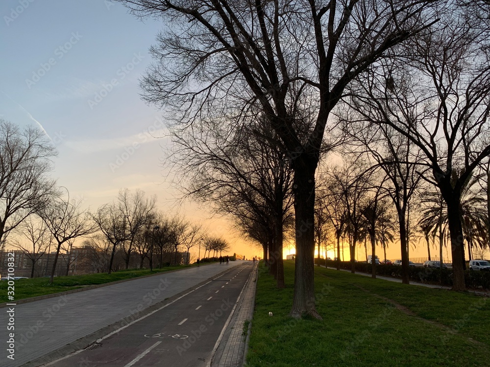 road in the city at dawn in autumn road in the city at dawn in autumn