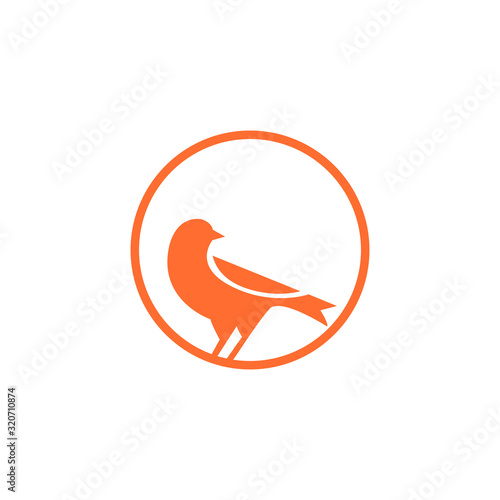 canary bird logo design vector illustration.