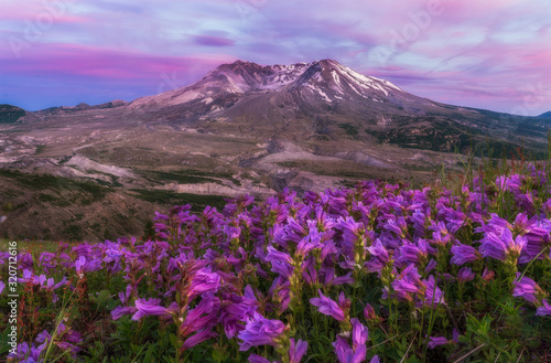 Mountains - Wildflowers - Sunset