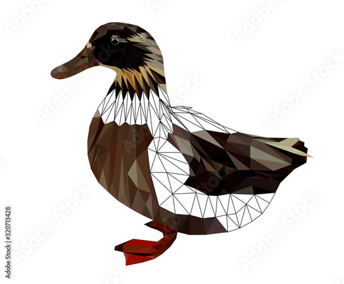 Low poly triangular and wireframe duck on whitey background, vector illustration isolated.  Polygonal style trendy modern logo design. Suitable for printing on a t-shirt. photo