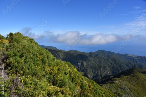 Landscape of green mountains of Madeira Island - view from the trial to Pico Ruivo.