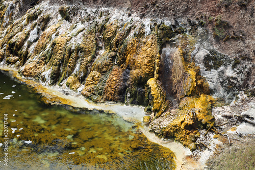 Vulkanlandschaft im Waimangu Volcanic Rift Valley. Neuseeland