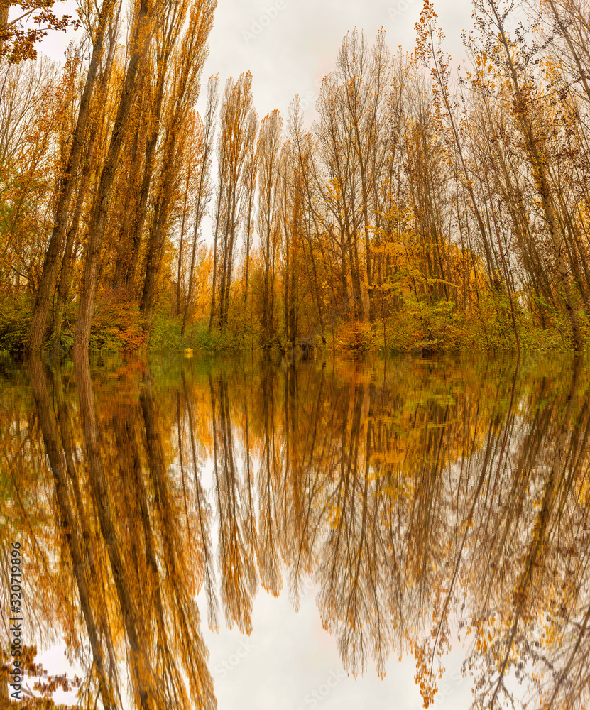Reflections in the water of some forest trees in autumn Reflections in the water of some forest trees in autumn