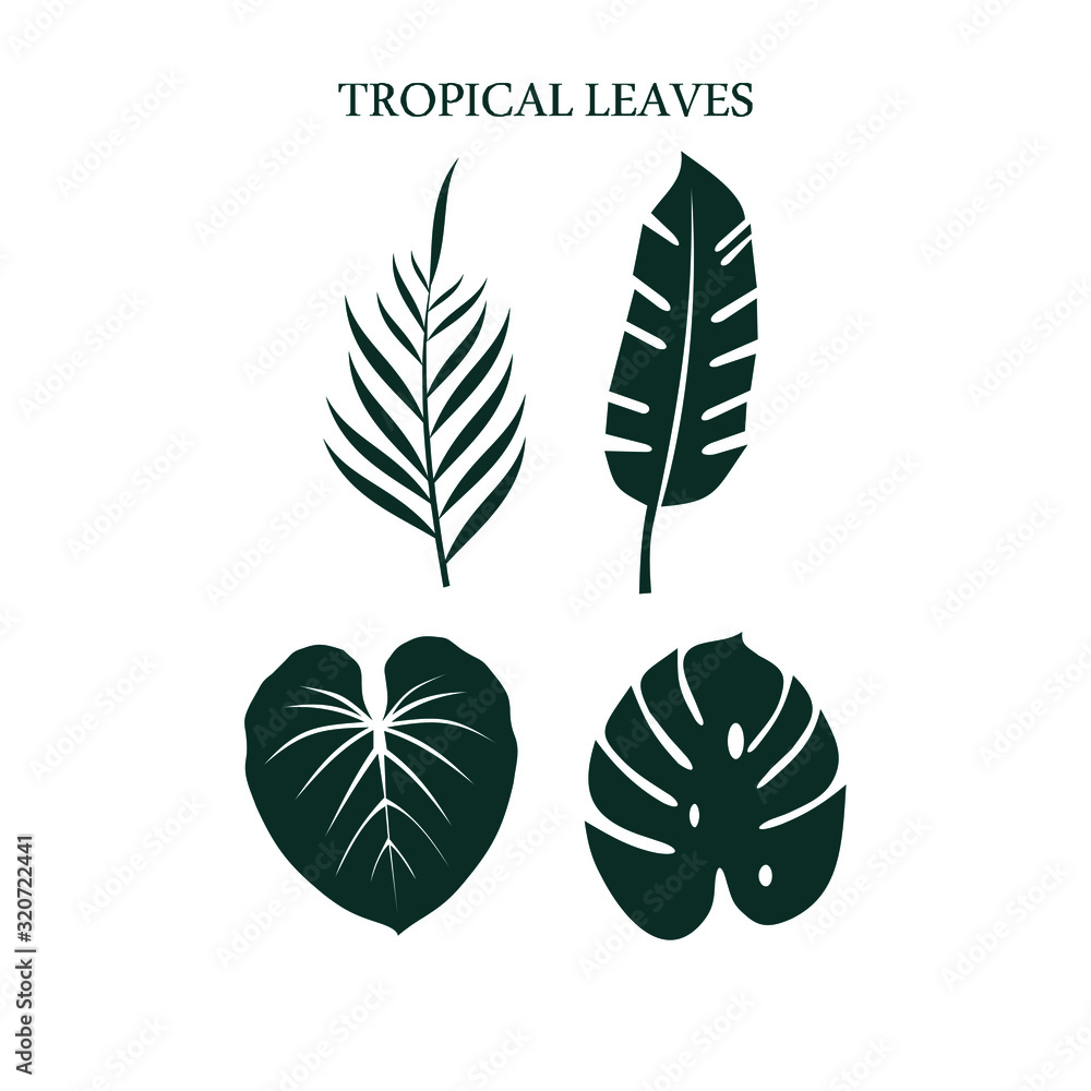 Fototapeta premium tropical green leaf icon set vector logo 