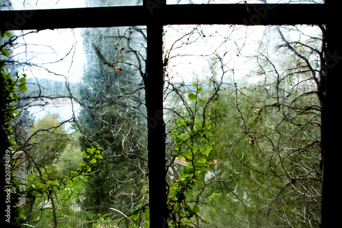 photo of the window to the nature photo