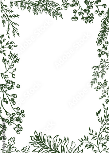 Plants frame, botanical border with leaves and berries