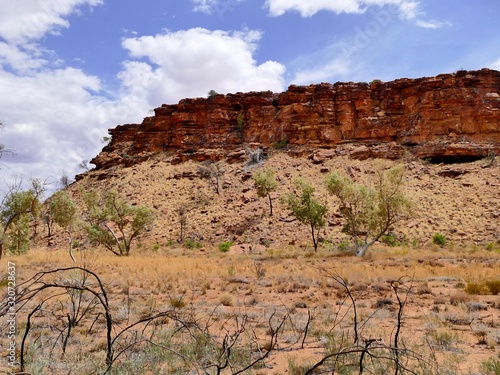 Paysages du Centre de l'Australie, sur  la  Larapinta Drive. photo