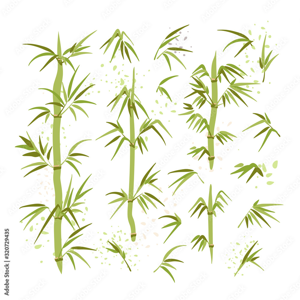 Vector illustration of bamboo leaves, stems, brunches. Green ecology environmental set of East Chinese and Japanese plant. Spa and ecology Bamboo illustration.