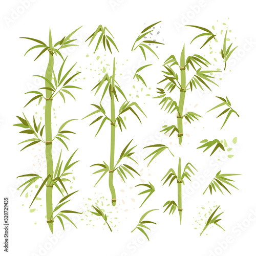 Vector illustration of bamboo leaves, stems, brunches. Green ecology environmental set of East Chinese and Japanese plant. Spa and ecology Bamboo illustration. © kirasolly