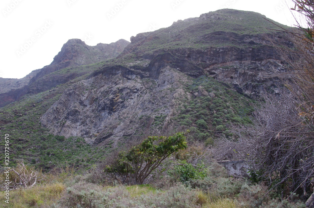 Fototapeta premium Mountains near the village of Chamorga in the north of Tenerife