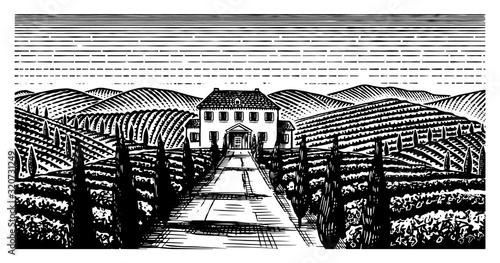 Scenic view of vineyards. Wide panoramic vine plantation in Chianti. French or Italian engraved landscape. Fields and hills of Tuscany. Hand drawn monochrome vintage horizontal sketch. 