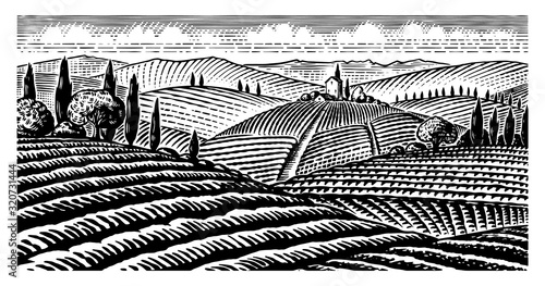 Scenic view of vineyards. Fields and hills of Tuscany. Panoramic vine plantation in Chianti. French or Italian engraved landscape. Hand drawn monochrome vintage horizontal sketch. 