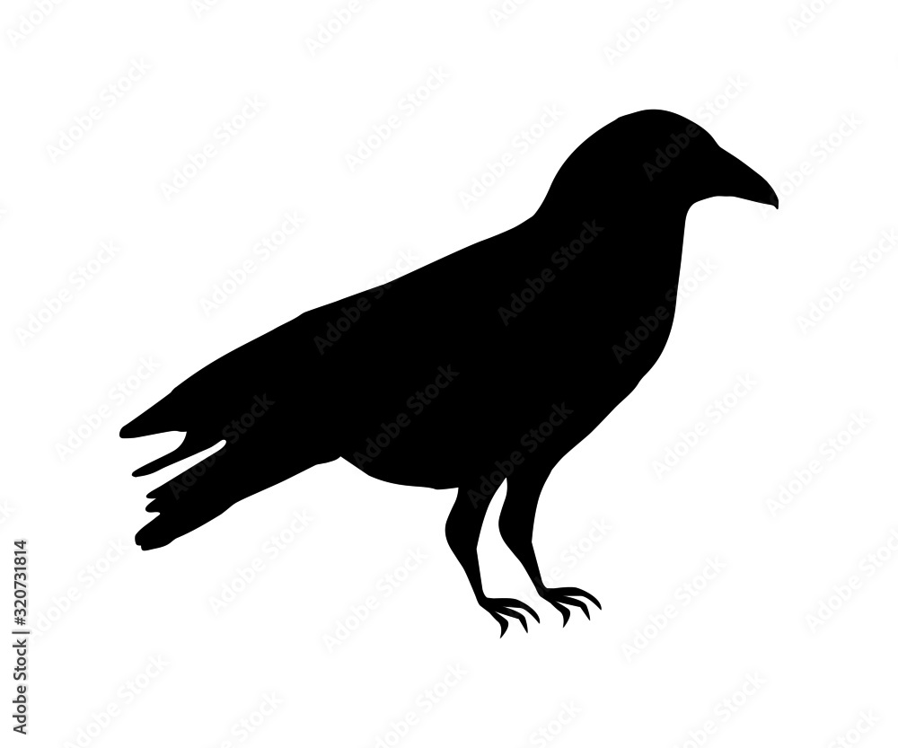 カラスのシルエットイラスト/アイコン/白黒/モノトーン カラスのシルエットイラスト/アイコン/白黒/モノトーン