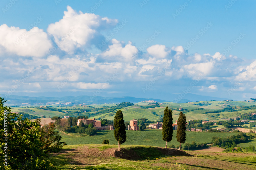 Italien, Toskanalandschaft im Sommer in der Nähe von Siena