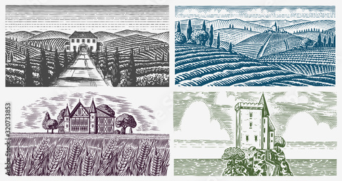 Vineyards Set. Vine plantation for bottle labels. Scenic view of French or Italian engraved landscape. Mountains Rural Fields Wheat Hills Hand drawn vintage sketch for alcohol, whiskey beer poster.