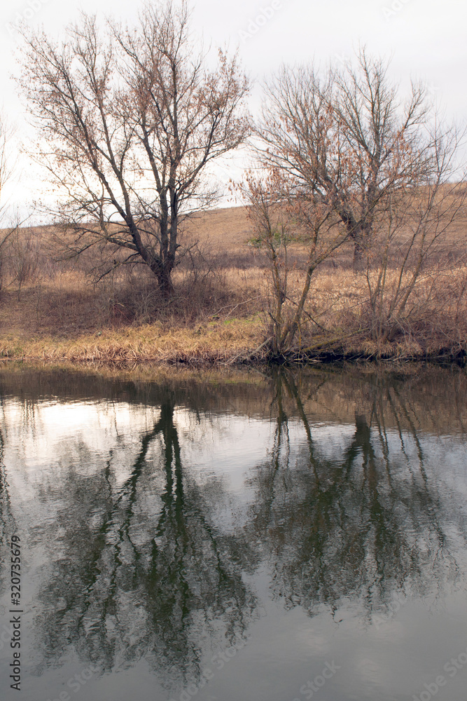 Two autumn trees with reflection in the water Two autumn trees with reflection in the water