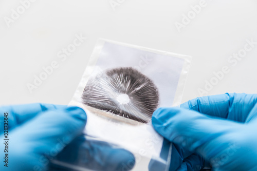 Fényképezés Spore imprint of psilocybin fungi