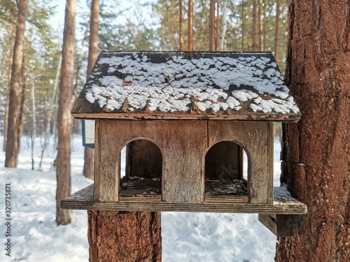 wooden feeder for feeding birds and squirrels in the winter in the forest © DmitryDolgikh