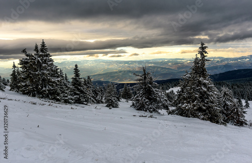 Awesome winter landscape with trees covered in snow. Frosty mountain day, exotic wintry scene. © Ivan