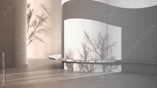 Architect interior designer concept: unfinished project that becomes real, abstract empty interior, grunge background with round and curved structures, light and tree shadows, bench