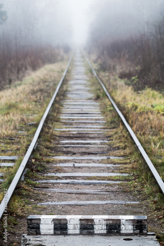 Empty railway goes through forest, vertical photo Empty railway goes through forest, vertical photo